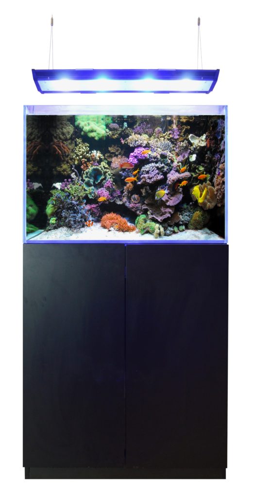 blue marine reef 200 blanc kit complet - MarineHome